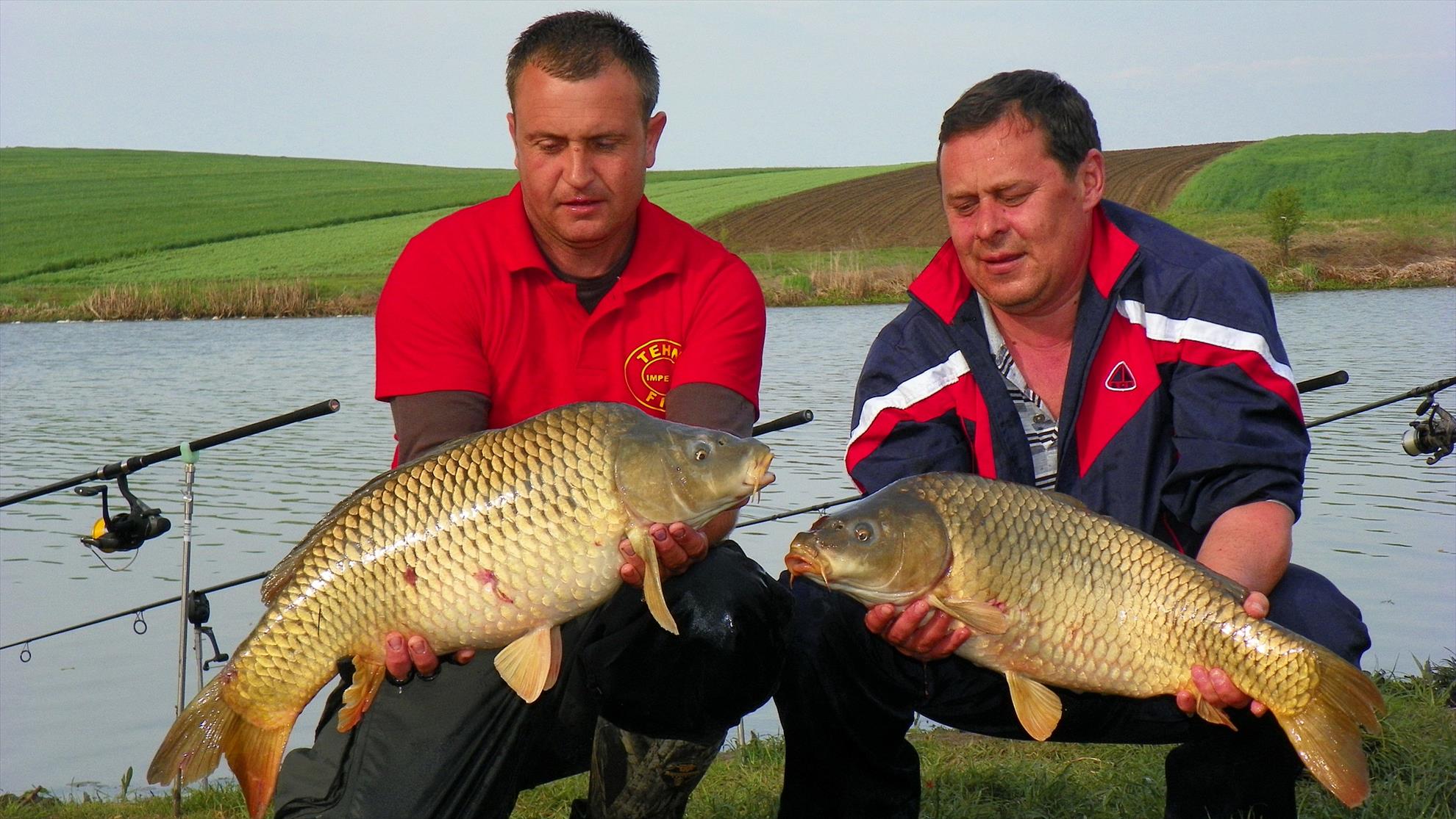 Party Cup 2011 (2)  - 1000229.jpg